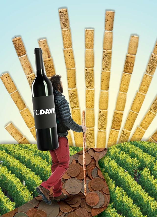 UC Davis wine sales graphic from UC Davis Magazine