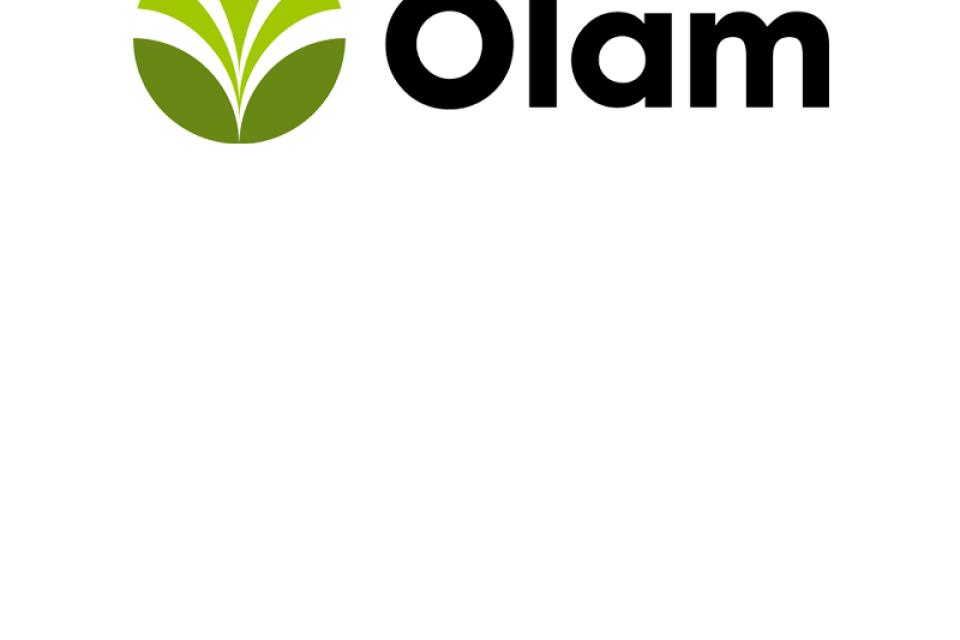 Olam