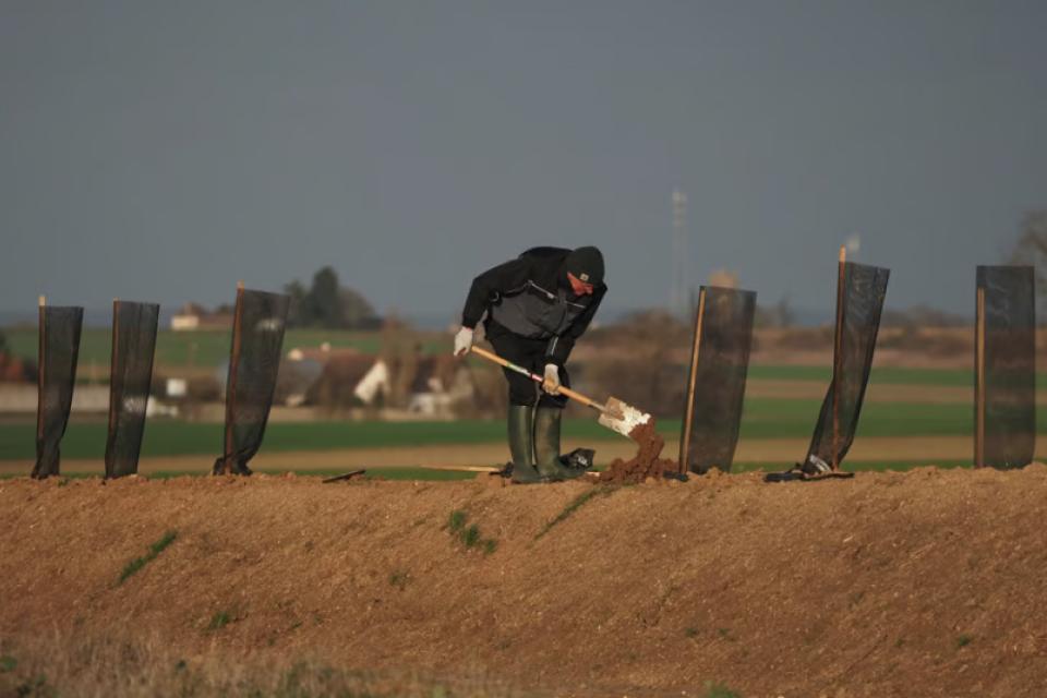 Warm winter risks curbing crop yields at a time when farmers are already struggling with fertilizer shortages | Guillaume Souvant/AFP via Getty Images